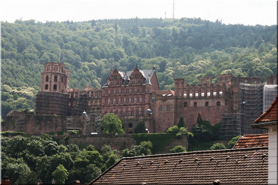 07310-Castillo de Heidelberg-IMG_7903.JPG