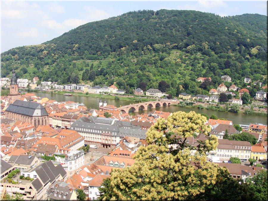 07600-Vista desde el C de Heidelberg-DSC05198.JPG