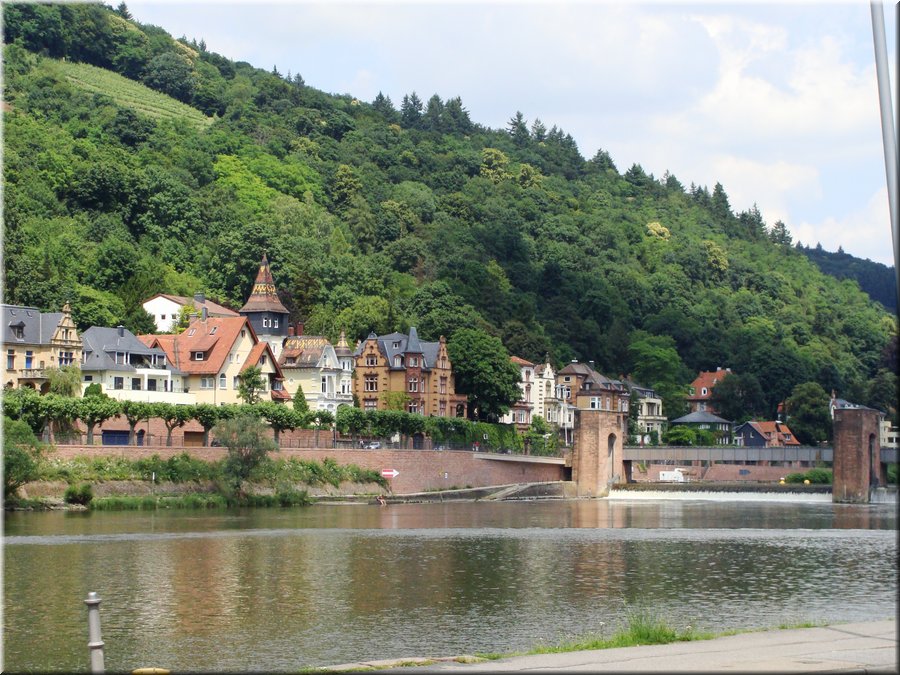 09900-Heidelberg-DSC05252.JPG