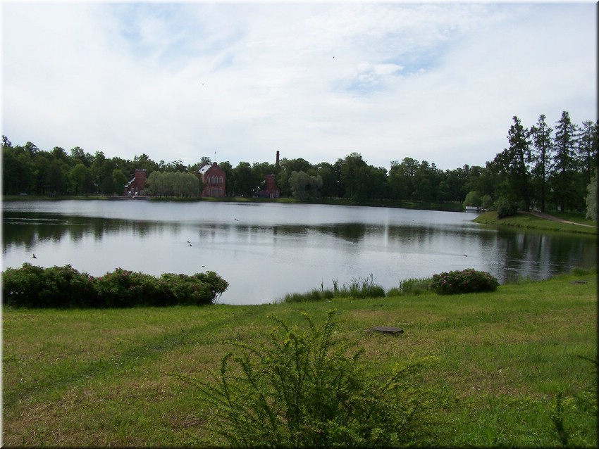 100_1913.JPG