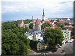 IMG_2211.JPG