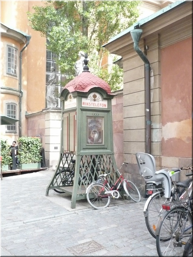 P1000294.JPG