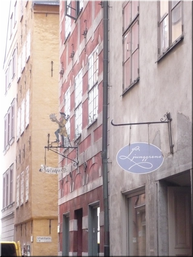 P1000299.JPG