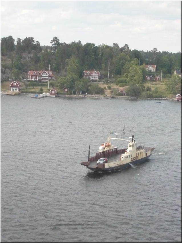 P1000352.JPG