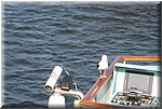 IMG_1966.JPG