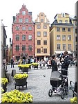 P1000297.JPG