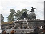 IMG_2309.JPG