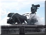 P1000601.JPG