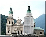 3314-Rosa-B-P-V-Salzburgo-.jpg