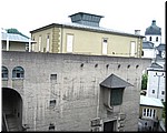 3321-Rosa-B-P-V-Salzburgo-.jpg