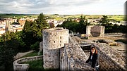 092 Rosa en el Castillo de Burgos.jpg