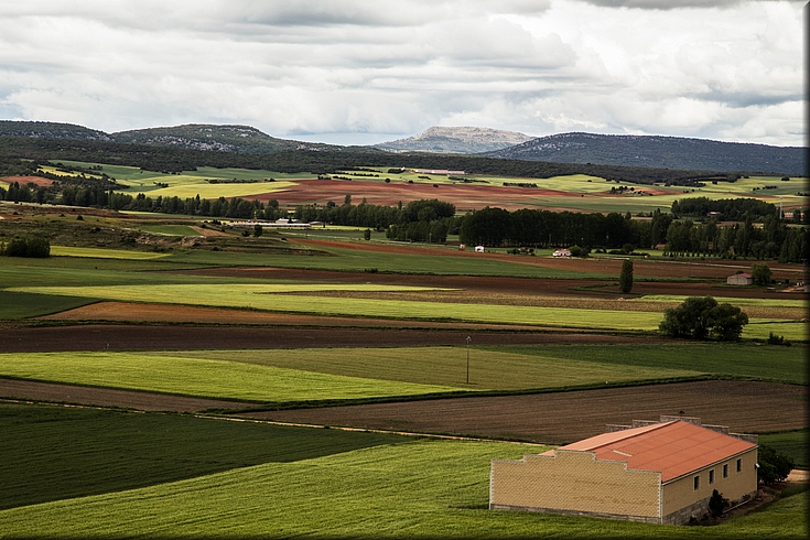 060-Campos de Castilla.jpg