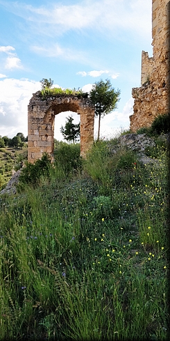 220-Castillejo de Robledo.jpg