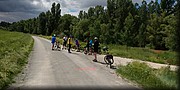 090-Flecha del despiste.jpg