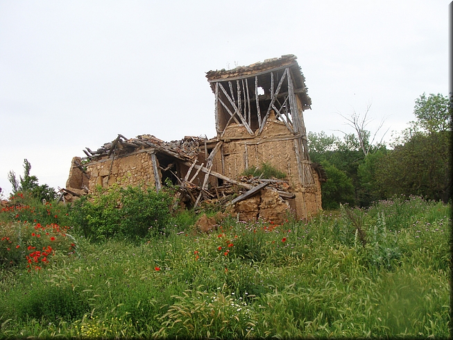 320-Navapalos.JPG