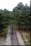 230-Perdida la via por tierra fragosa.jpeg