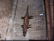 540-Colegiata de Berlanga-Lagarto de Frai Tomas.JPG