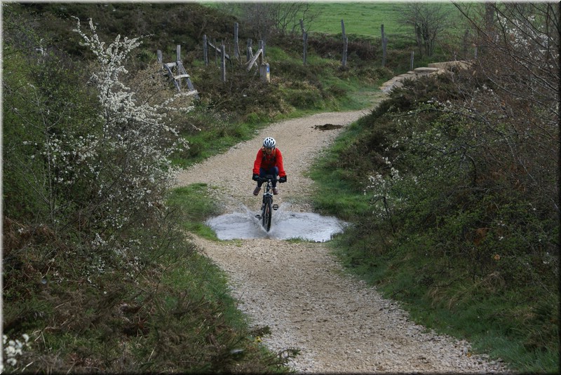 0190-Camino - Burguete al Alto de Erro .jpg