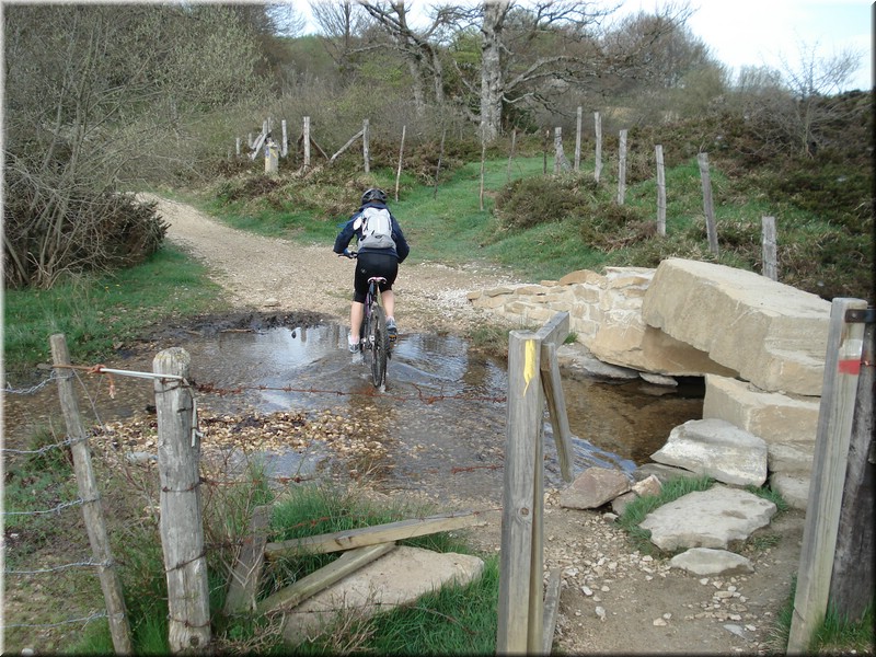0200-Camino - Burguete al Alto de Erro.jpg