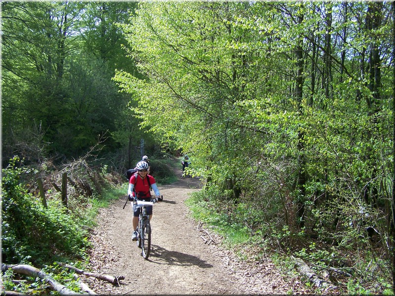 0202-Camino - Burguete al Alto de Erro.JPG