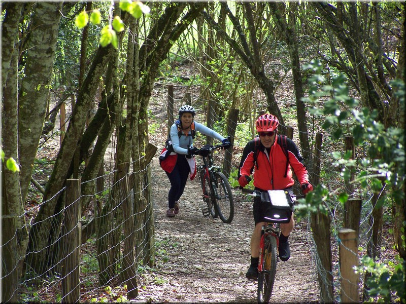 0204-Camino - Burguete al Alto de Erro.JPG