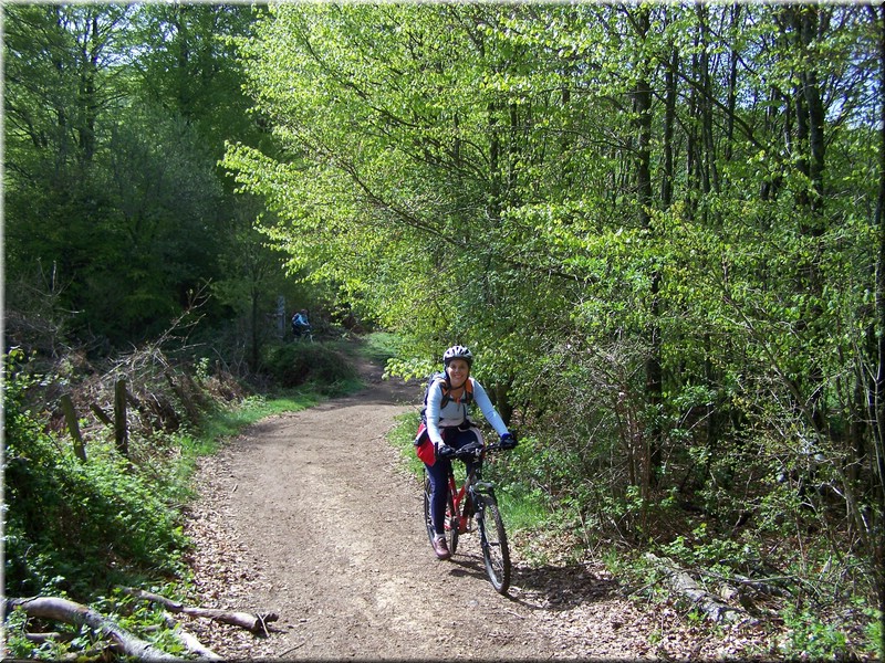 0205-Camino - Burguete al Alto de Erro.JPG