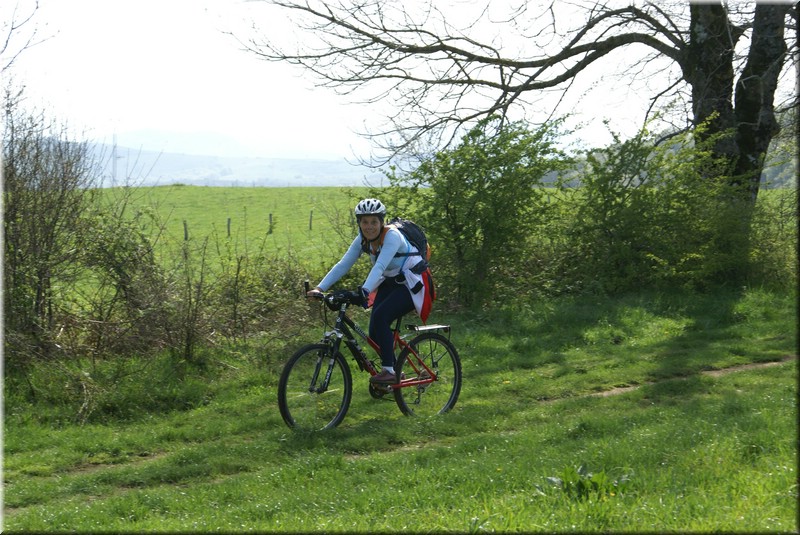 0207-Camino - Burguete al Alto de Erro.jpg