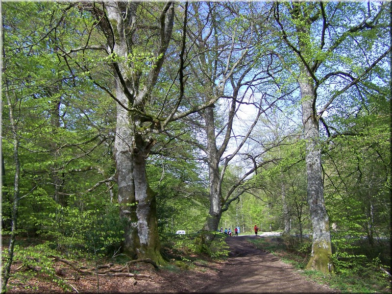 0212-Camino - l Alto de Erro.JPG