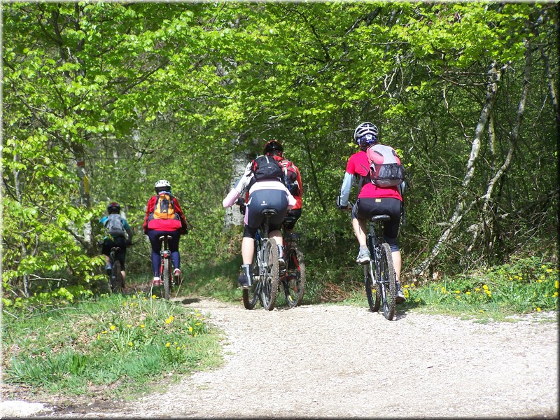 0216-Camino - l Alto de Erro.JPG