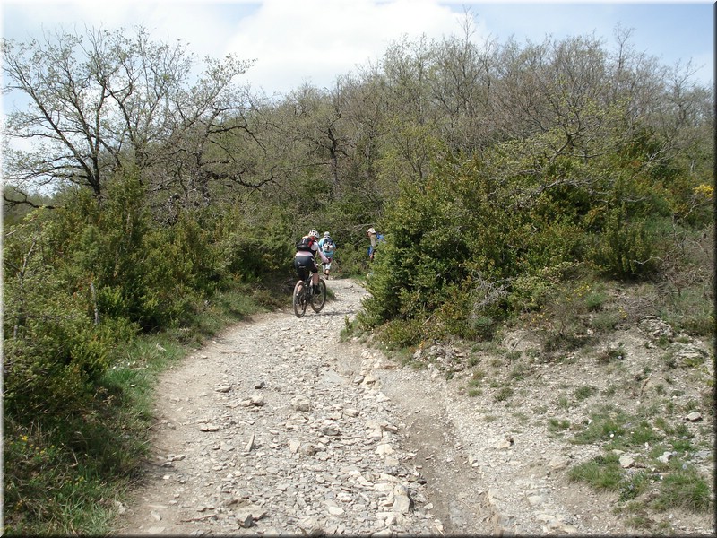 0250-Camino - Alto de Erro a Zubiri.jpg