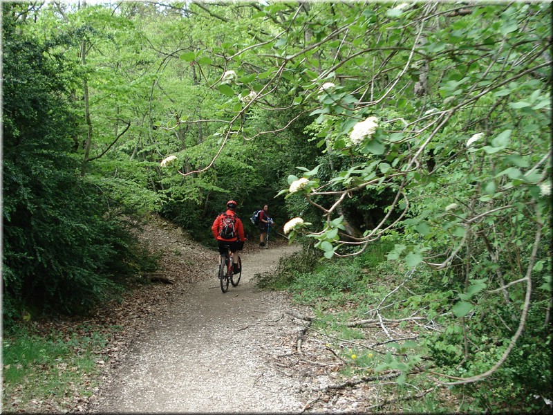 0260-Camino - Alto de Erro a Zubiri.jpg