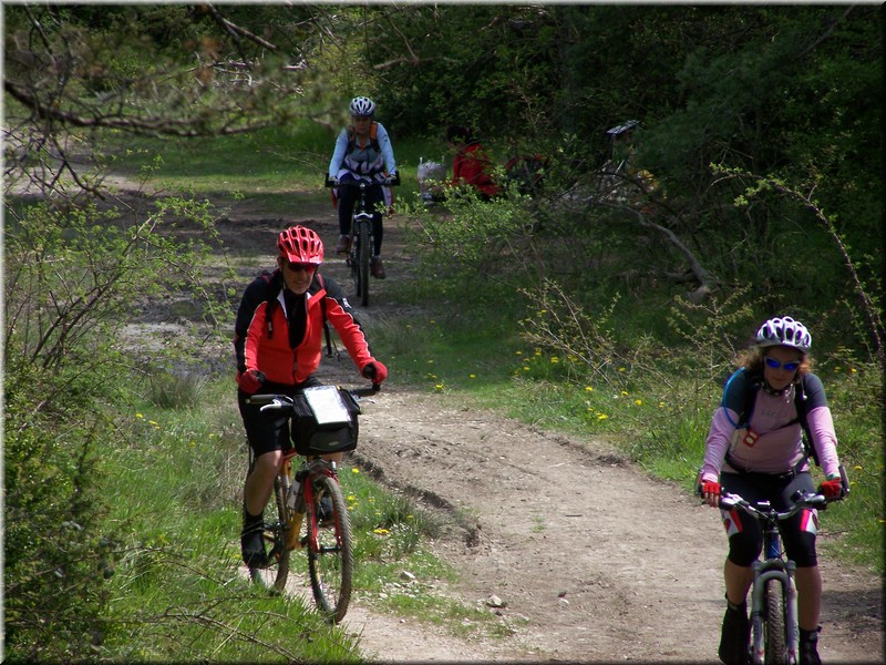 0270-Camino - Alto de Erro a Zubiri.JPG