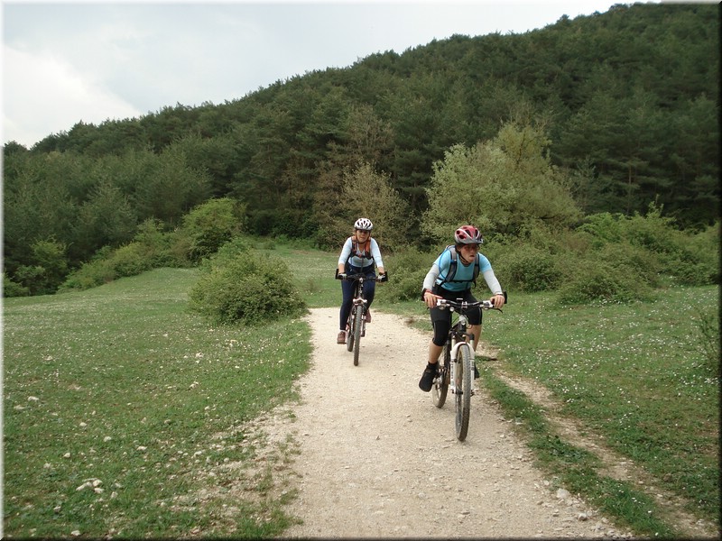 0415-Camino-Hacia Pamplona.jpg