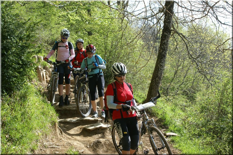 0435 Camino-Hacia Pamplona.jpg
