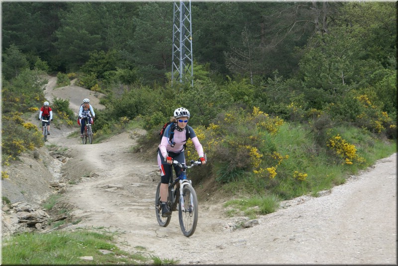 0550-Camino-Hacia Pamplona.jpg