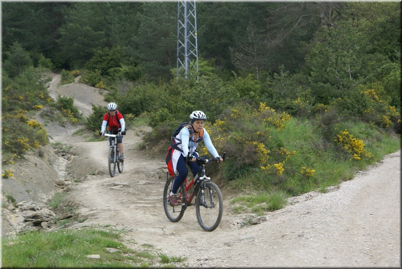 0560-Camino-Hacia Pamplona.jpg