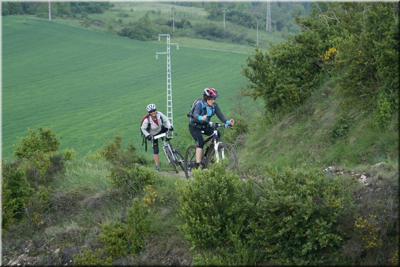 0580-Camino-Hacia Pamplona.jpg