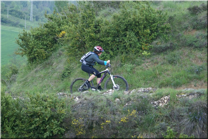 0590-Camino-Hacia Pamplona.jpg