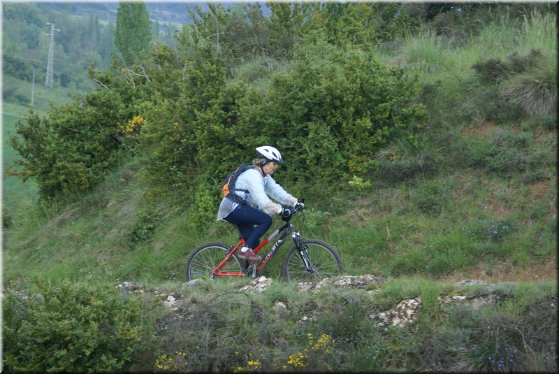0600-Camino-Hacia Pamplona.jpg