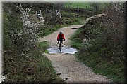 0190-Camino - Burguete al Alto de Erro .jpg
