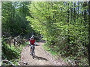 0202-Camino - Burguete al Alto de Erro.JPG