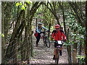 0204-Camino - Burguete al Alto de Erro.JPG