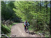 0205-Camino - Burguete al Alto de Erro.JPG