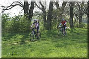 0208-Camino - Burguete al Alto de Erro.jpg