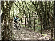 0210-Camino - Burguete al Alto de Erro.jpg