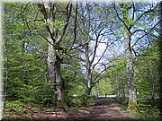 0212-Camino - l Alto de Erro.JPG