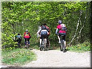 0216-Camino - l Alto de Erro.JPG