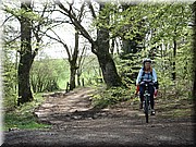 0230-Camino - Alto de Erro a Zubiri.jpg