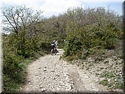 0250-Camino - Alto de Erro a Zubiri.jpg