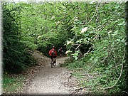 0260-Camino - Alto de Erro a Zubiri.jpg